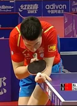 队内营养师 队内营养师