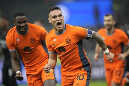 确立了稳固 确立了稳固